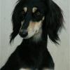 Chirin Tall Afar
