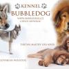 Chovateľská stanica používateľa Bubbledog.cz