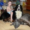 Chovateľská stanica používateľa BullBeCa