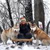 Chovateľská stanica používateľa De Rey la Montana Blanca Siberians