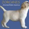 jorcanis