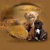 Vita da Bestia kennel