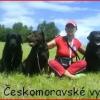 Chovateľská stanica používateľa zcmv