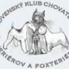 SKCHTF