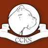 Cane Corso klub Slovensko