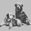 Slovenský retriever klub