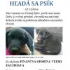 Používateľovi dominushka16 sa stratil psík