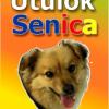 Útulok Senica