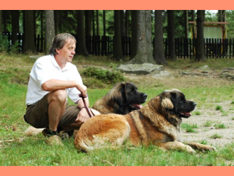 Leonberger