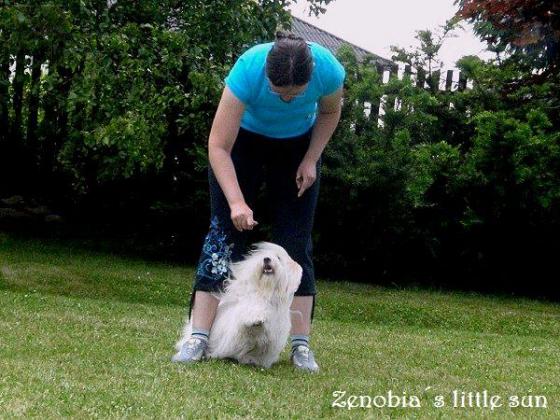 Zenóbia dogdancing