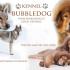 Obrázok používateľa Bubbledog.cz