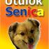 Útulok Senica