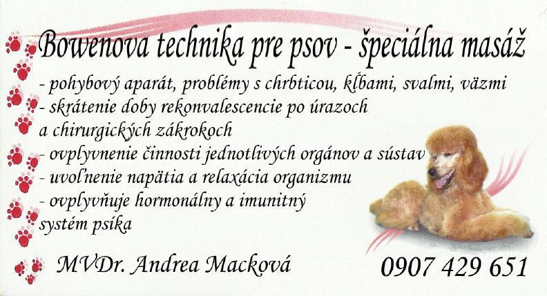 Bowenova technika