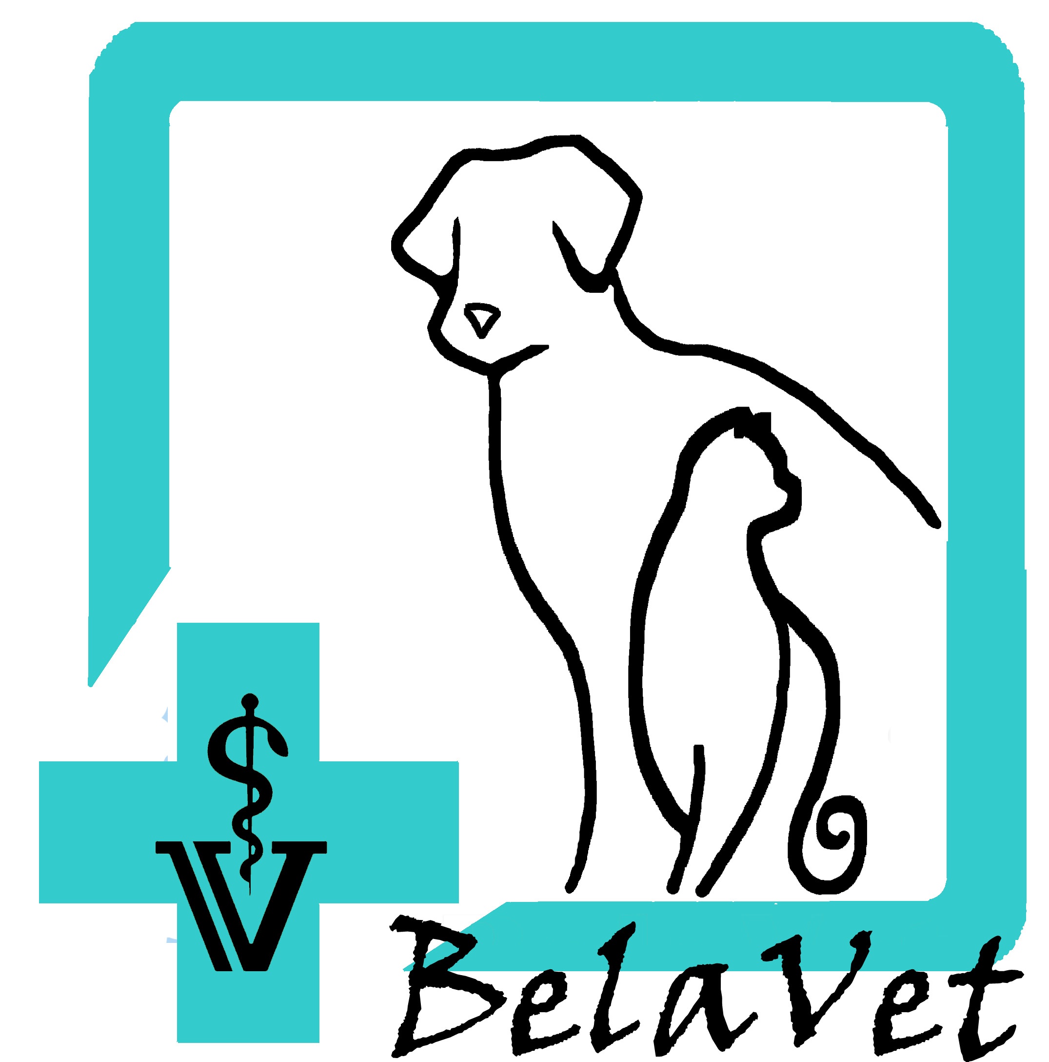 Belavet - veterinárna ambulancia v Košiciach