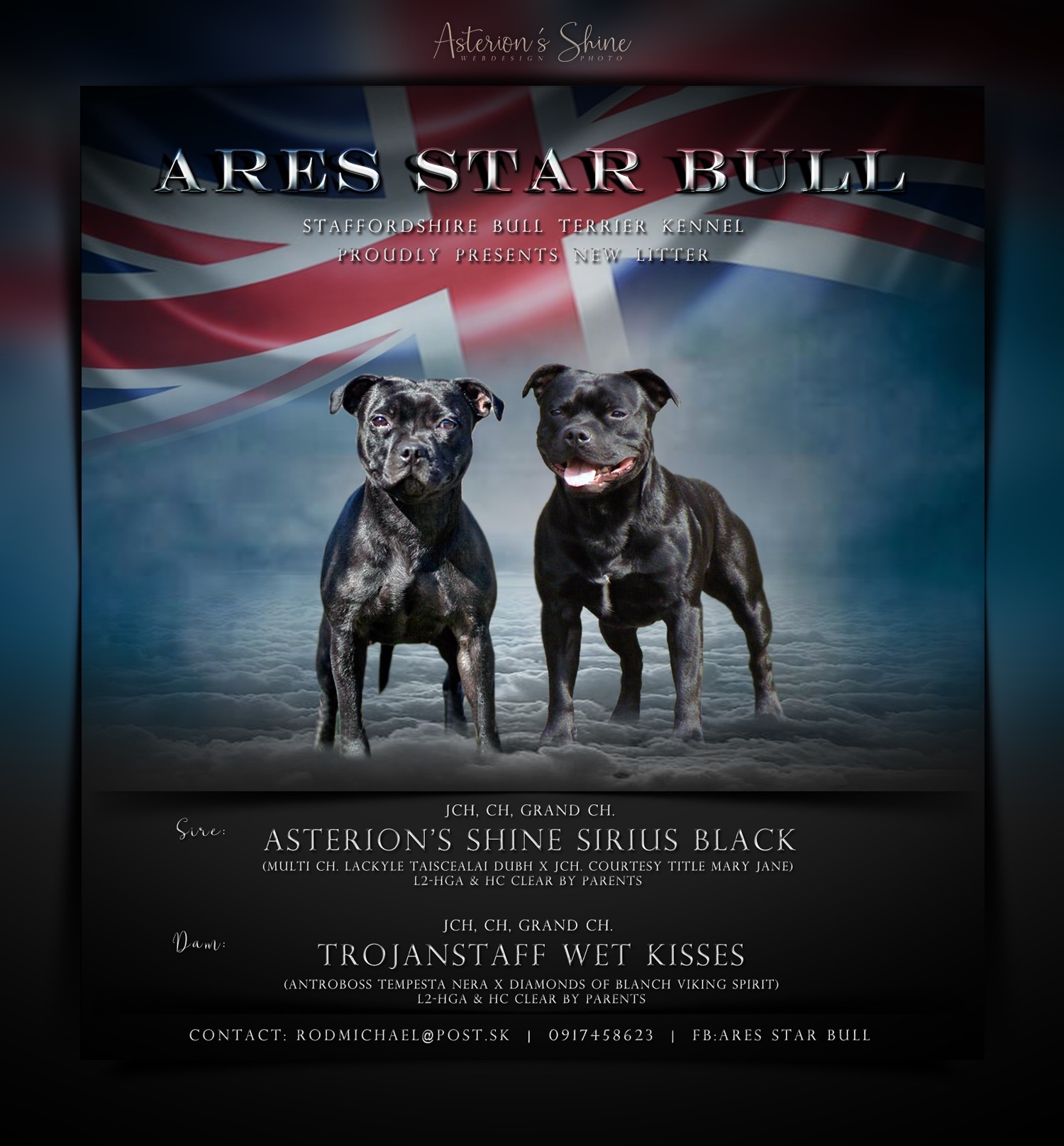 Ares Star Bull