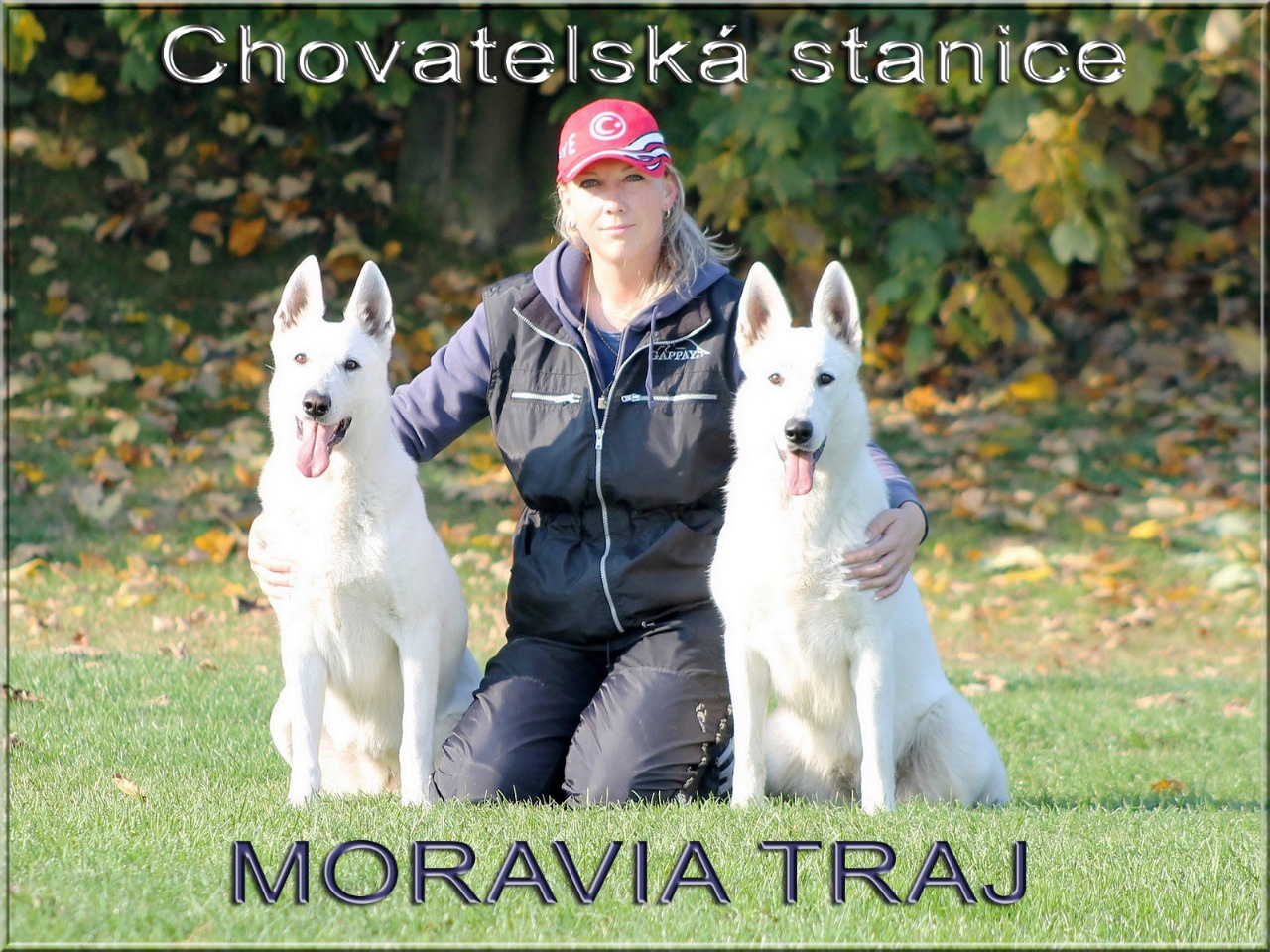 MORAVIA TRAJ