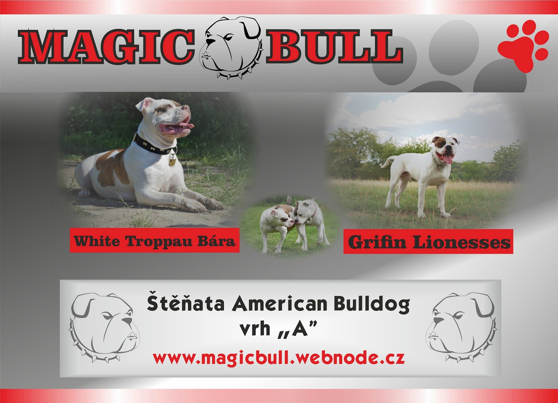 Magicbull