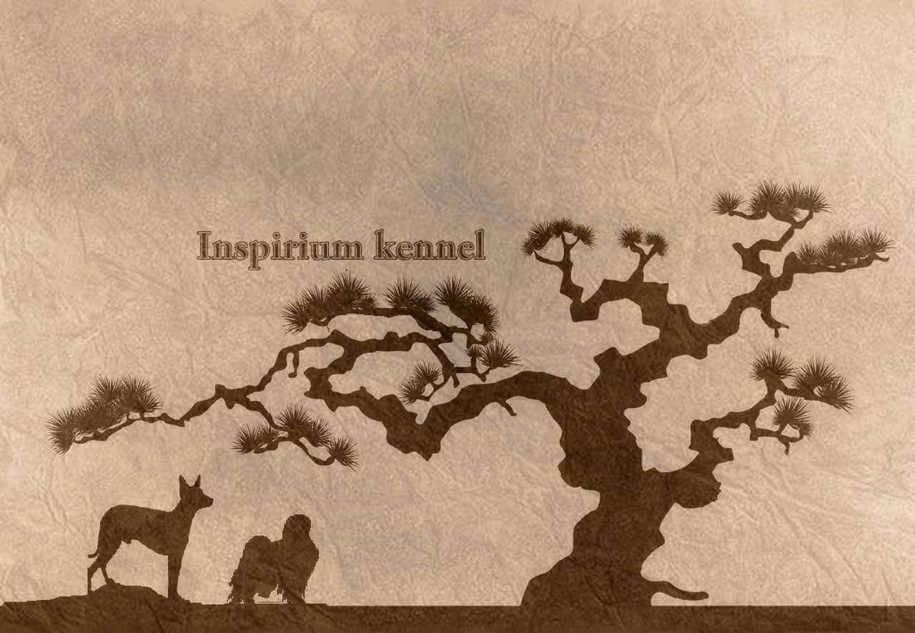 Inspirium