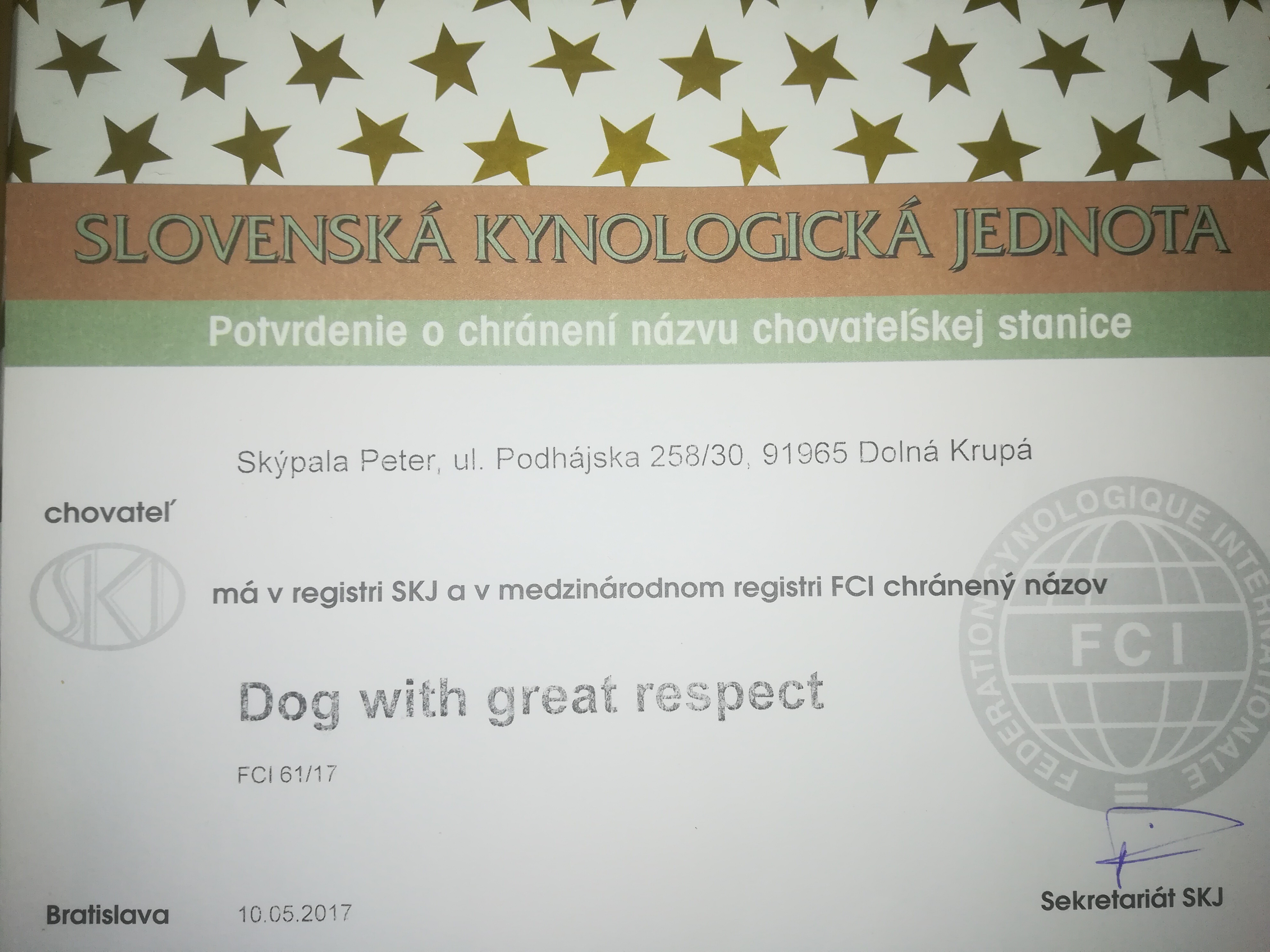 Dog with great respect