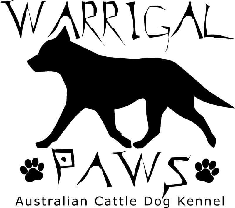 Warrigal Paws
