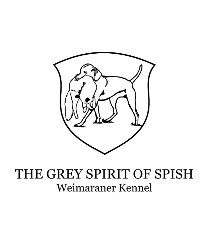 The Grey Spirit of Spish