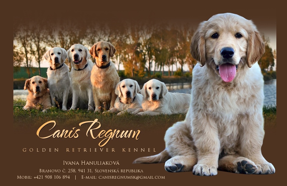 Canis Regnum