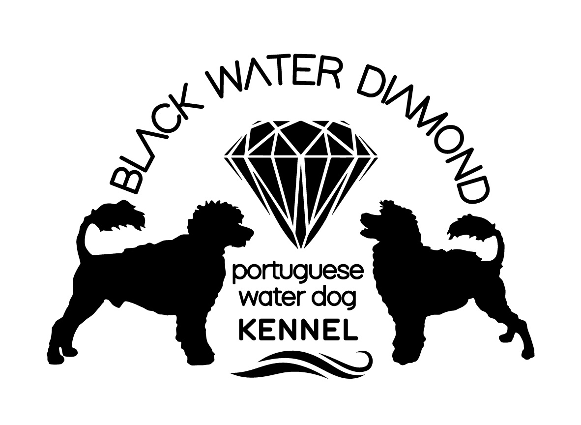 Black Water Diamond