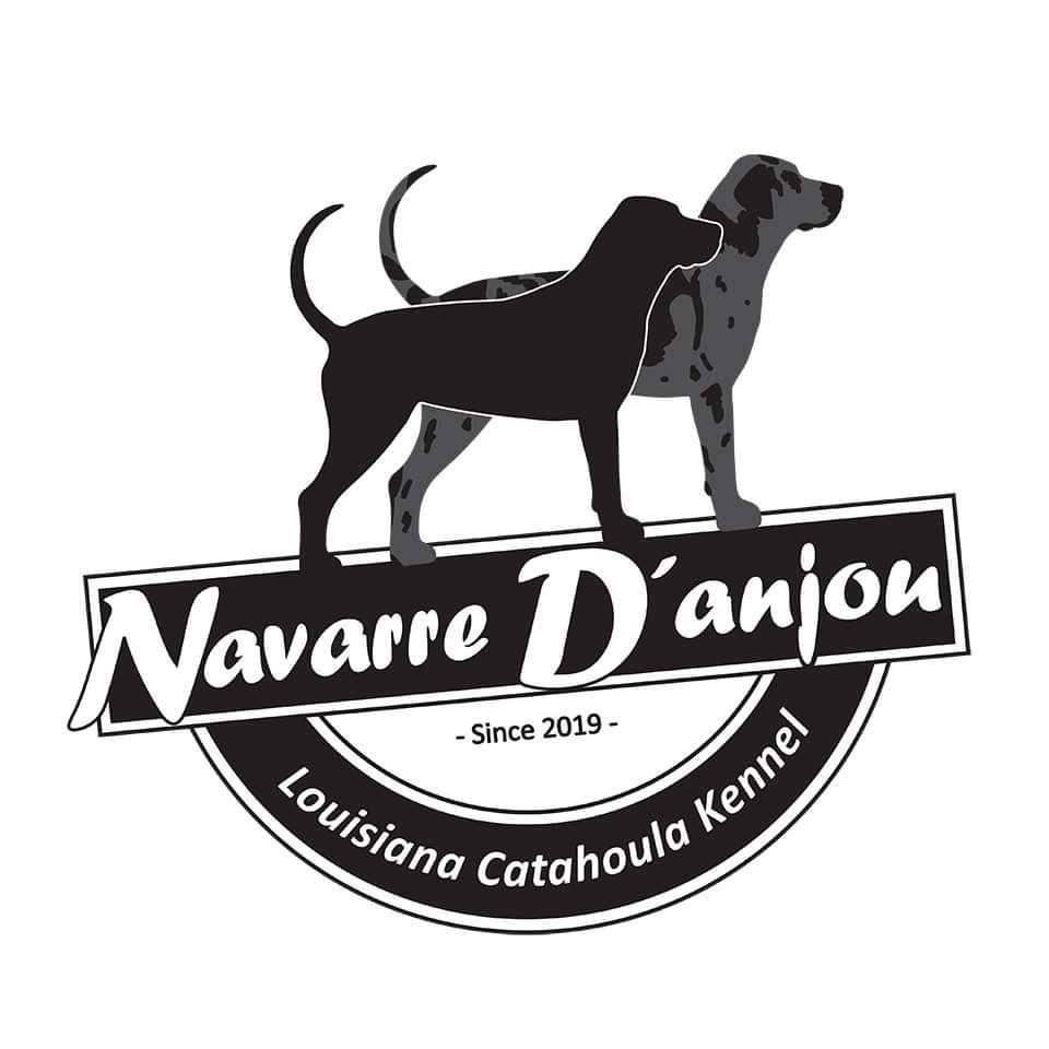 Navarre D&#039;anjou