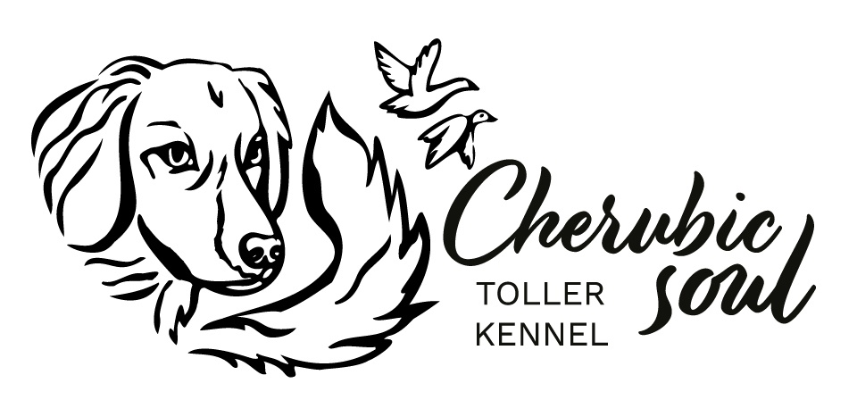 Cherubic Soul Toller Kennel