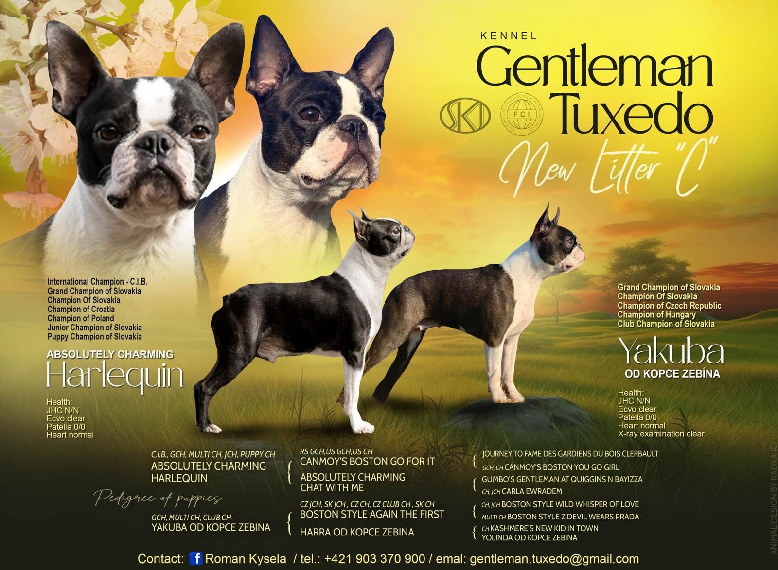 Gentleman Tuxedo kennel
