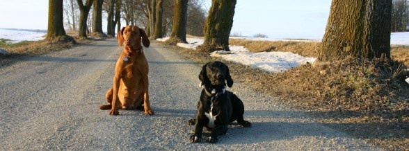 Chovateľská stanica používateľa babory