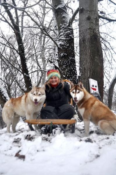 Chovateľská stanica používateľa De Rey la Montana Blanca Siberians