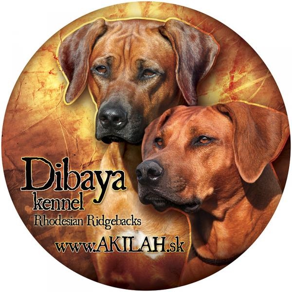 Dibaya