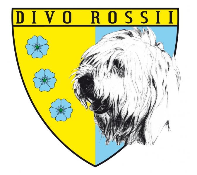 DIVO ROSSII