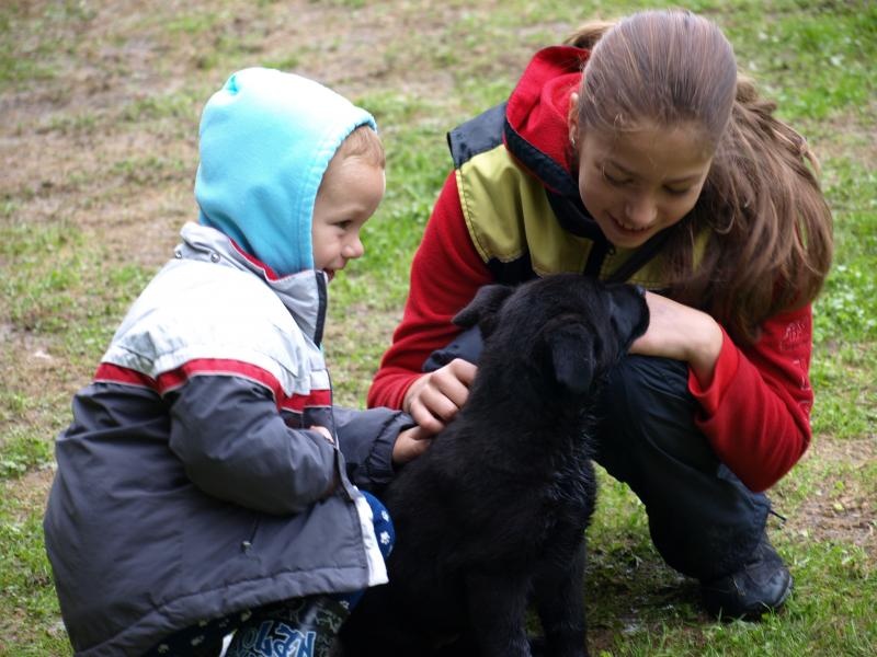 Chovateľská stanica používateľa hanacheb