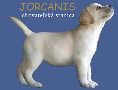 jorcanis