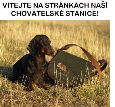 Chovateľská stanica používateľa lolita.zde