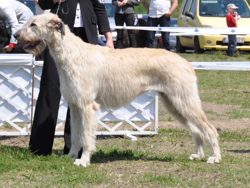 Chovateľská stanica používateľa Pavlina Polcicova