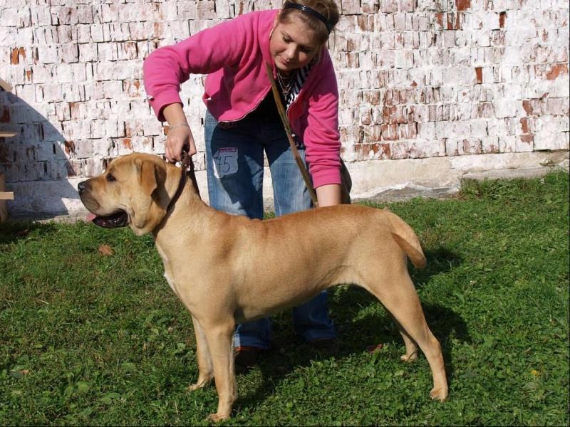 Chovateľská stanica používateľa Pelinková Eva