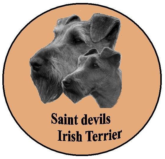 saintdevils