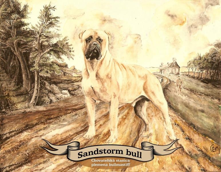 sandstormbull