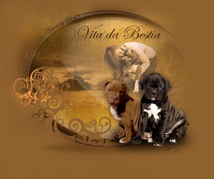 Vita da Bestia kennel