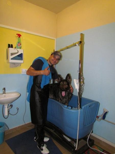 Samoobslužná kúpeľňa pre psov 