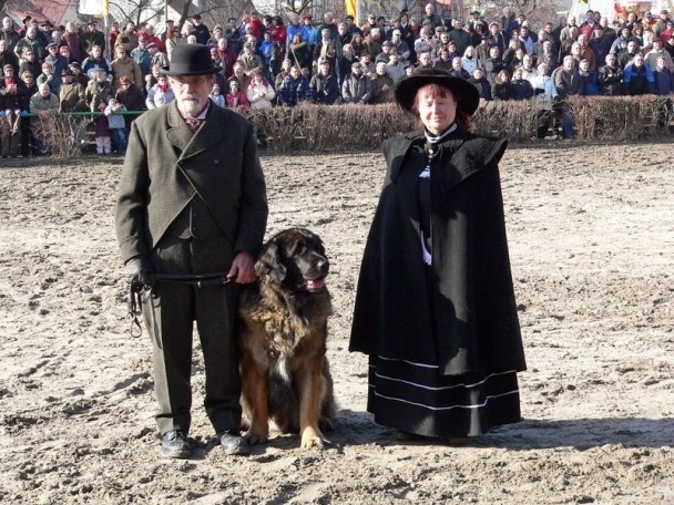 História plemena leonberger