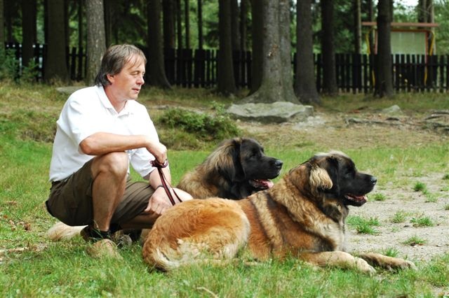 Leonberger