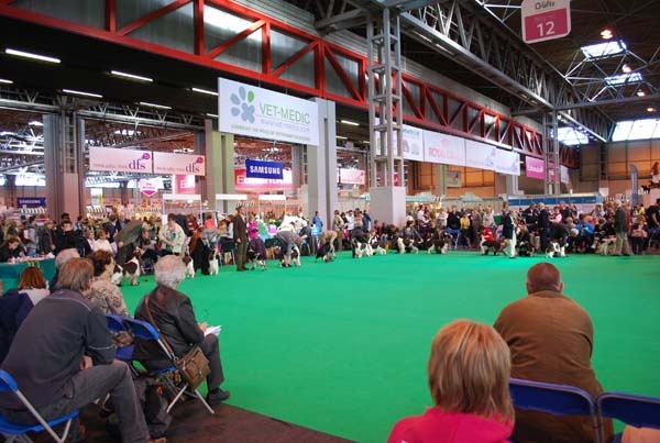 CRUFTS 2011, kruh na posudzovanie