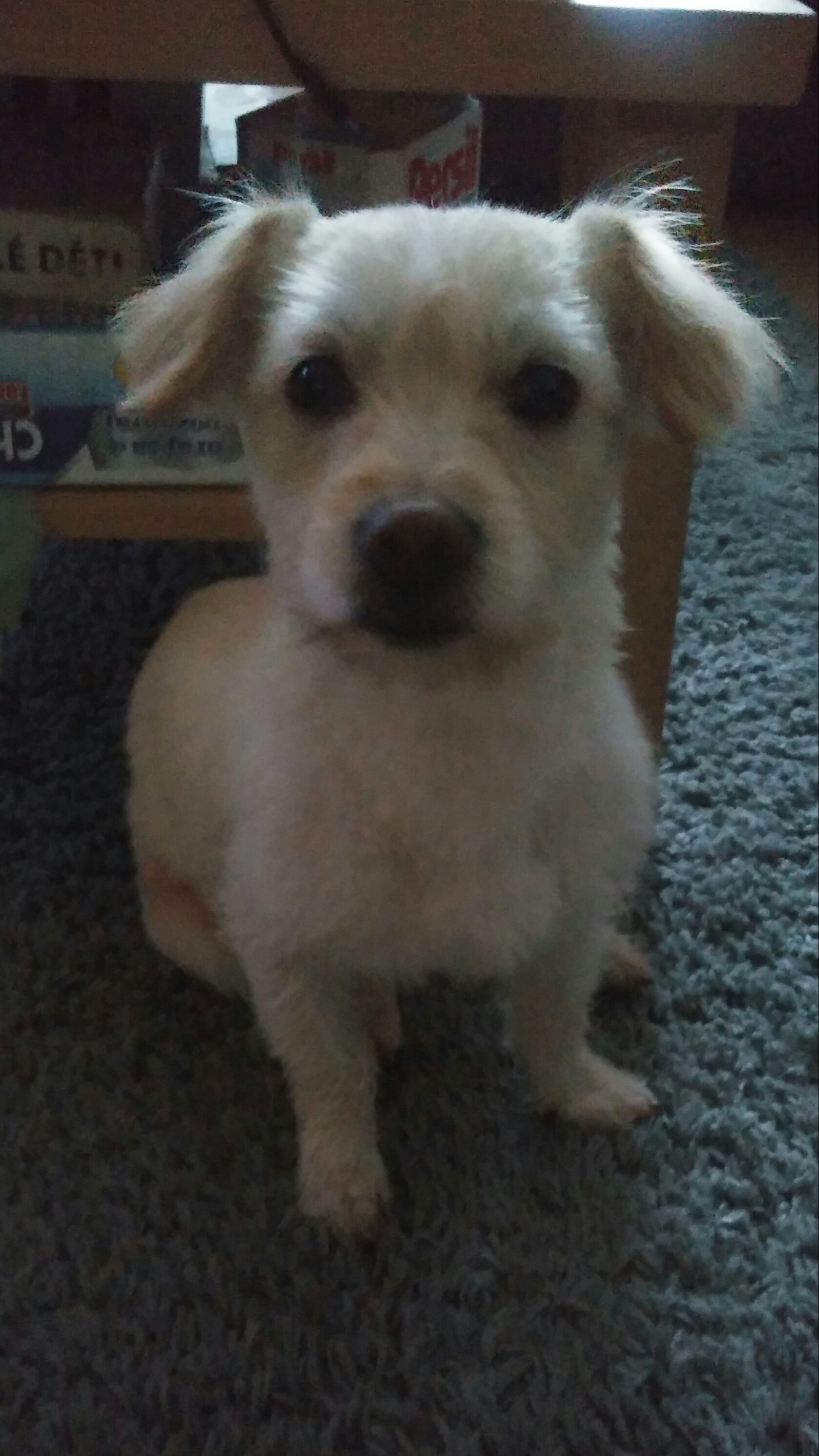 Beny