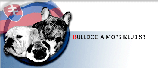 BULLDOG A MOPS KLUB SR