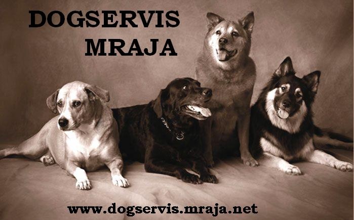 DOGSERVIS