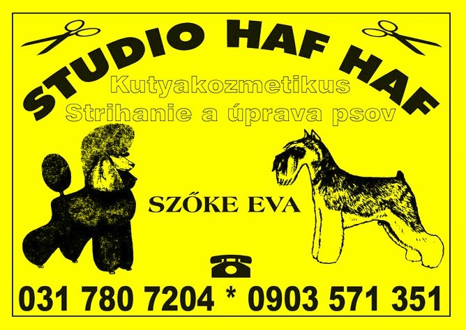 Studio HAFHAF